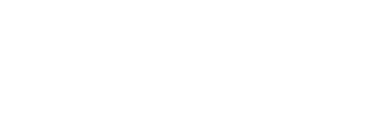 SHOPSKINNER